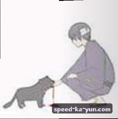 刘洋